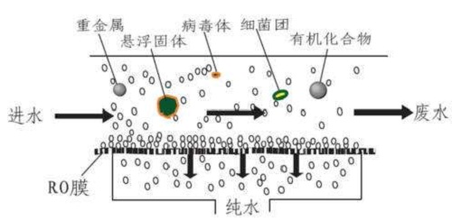 反滲透膜